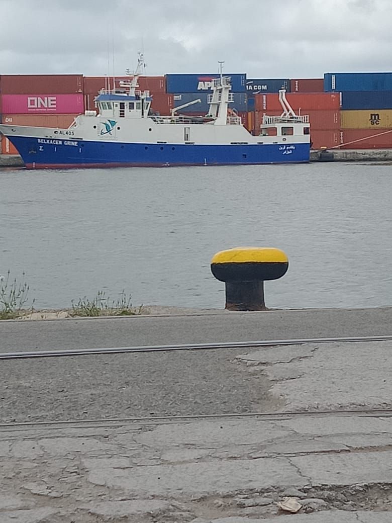 Vessel at berth by the container yard — Port of Djen-Djen